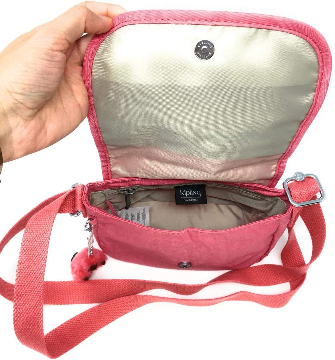 希少】Jun Bamba Giapponese 1979年製 ヴァイオリン Violin | 種類